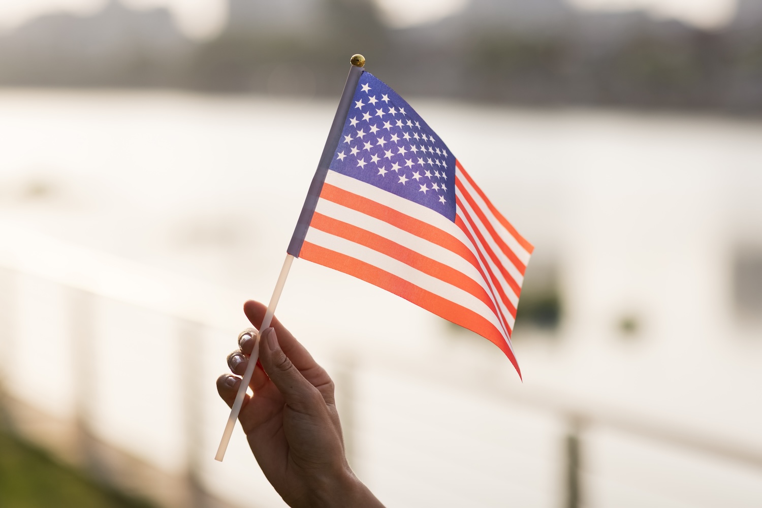 Legal Representation